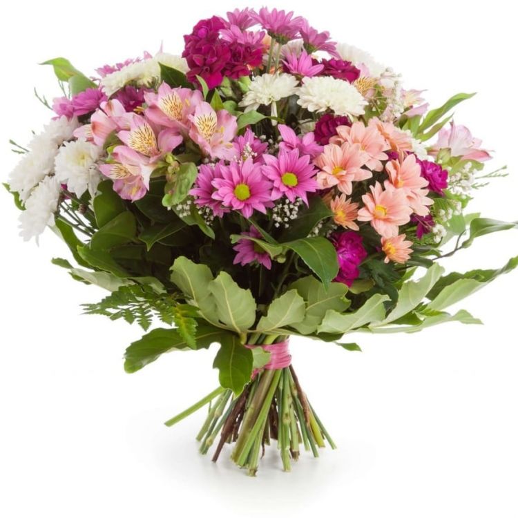 Милый от 5 800 руб.